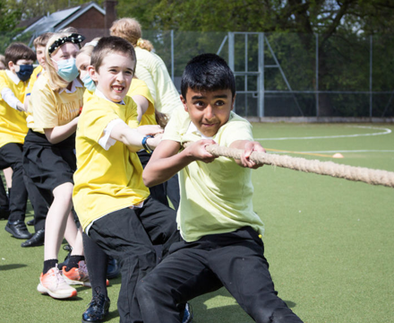 Tug of War 5