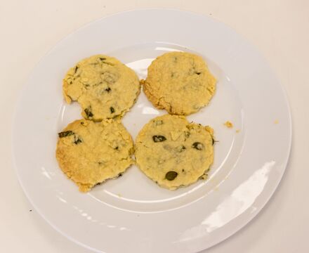 Img 4255