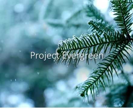 Project evergreen